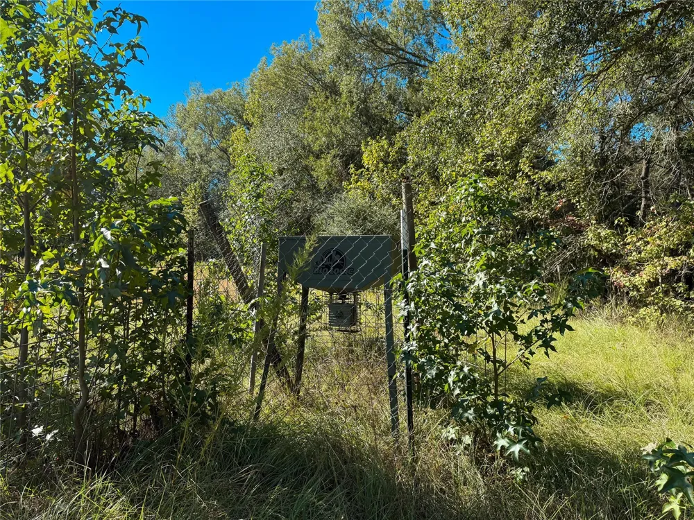 Pr 2150 Oakwood, TX 75855