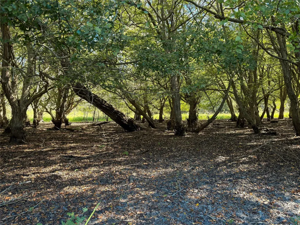 Pr 2150 Oakwood, TX 75855
