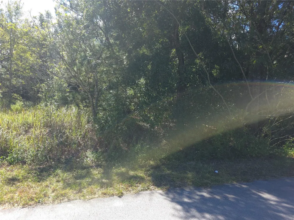 70 JUNIPER PASS ocala, FL 34480