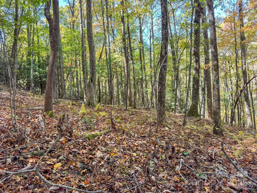 345 Christa Lane Arden, NC 28704