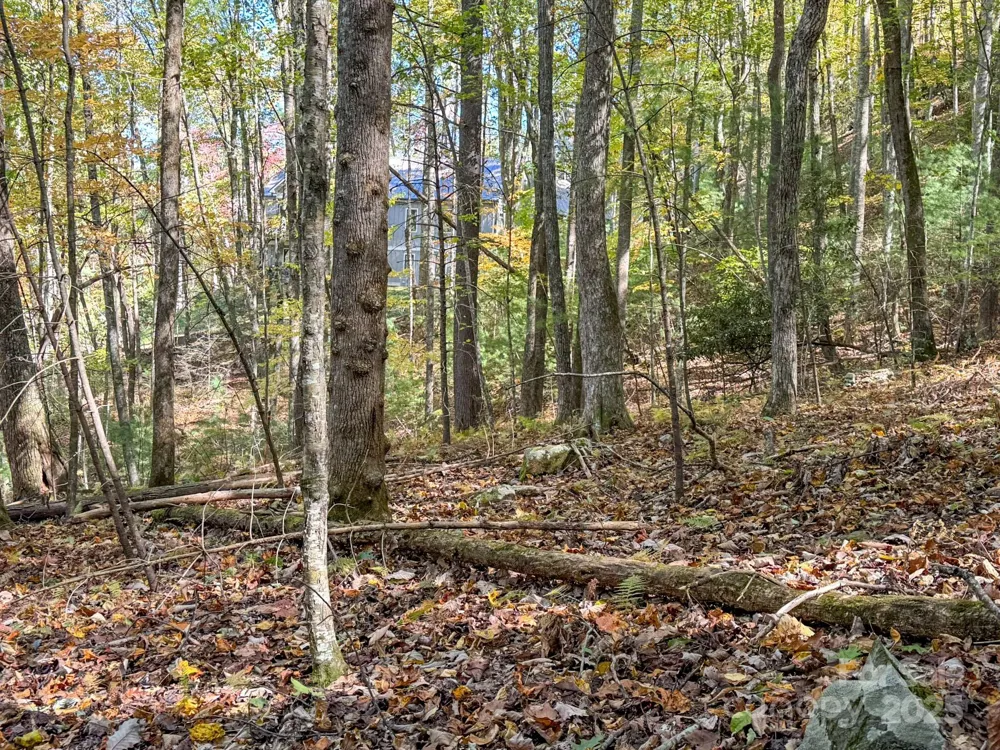 345 Christa Lane Arden, NC 28704