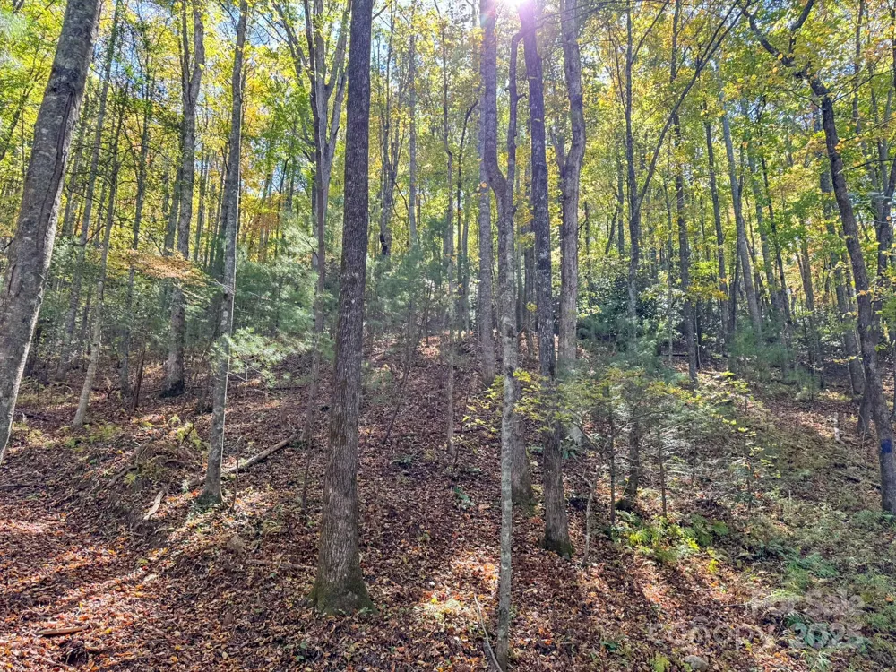 345 Christa Lane Arden, NC 28704