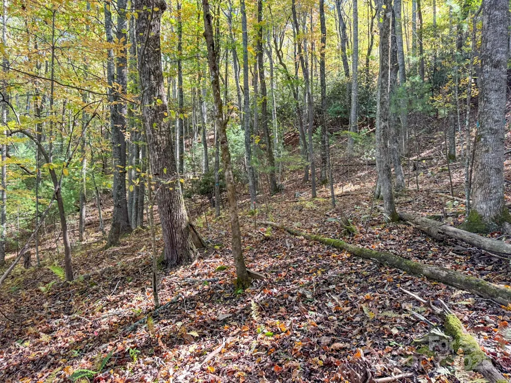 345 Christa Lane Arden, NC 28704