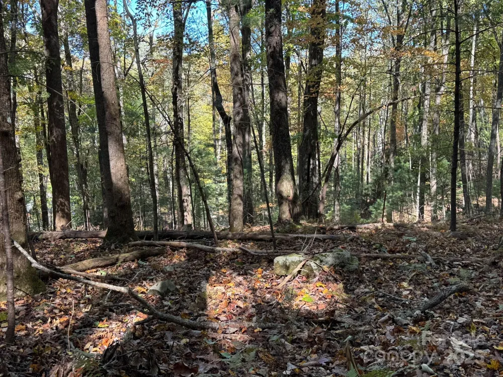 345 Christa Lane Arden, NC 28704