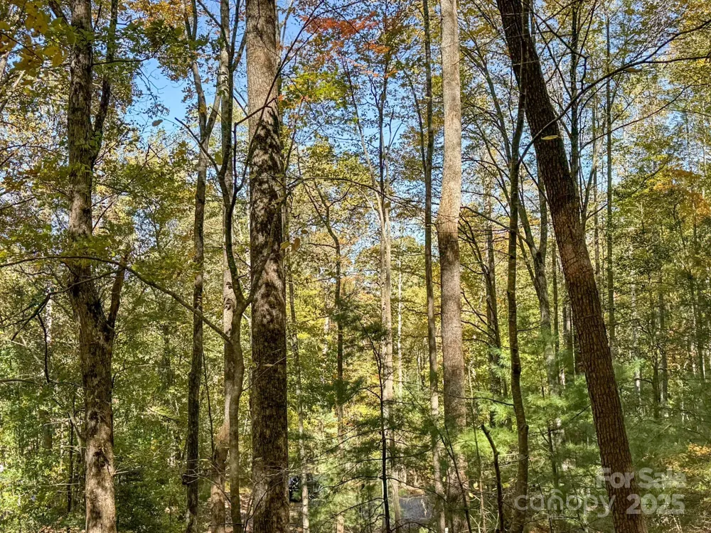 345 Christa Lane Arden, NC 28704