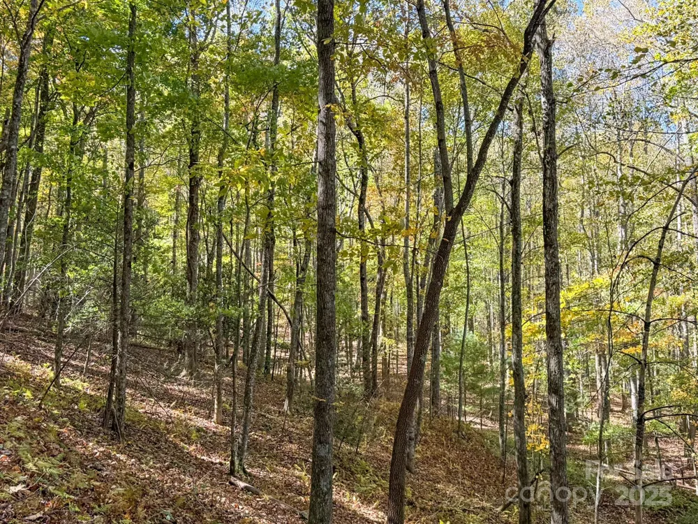 345 Christa Lane Arden, NC 28704