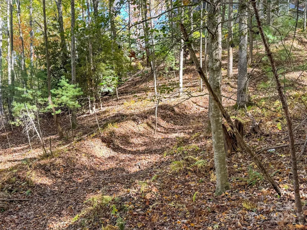 345 Christa Lane Arden, NC 28704