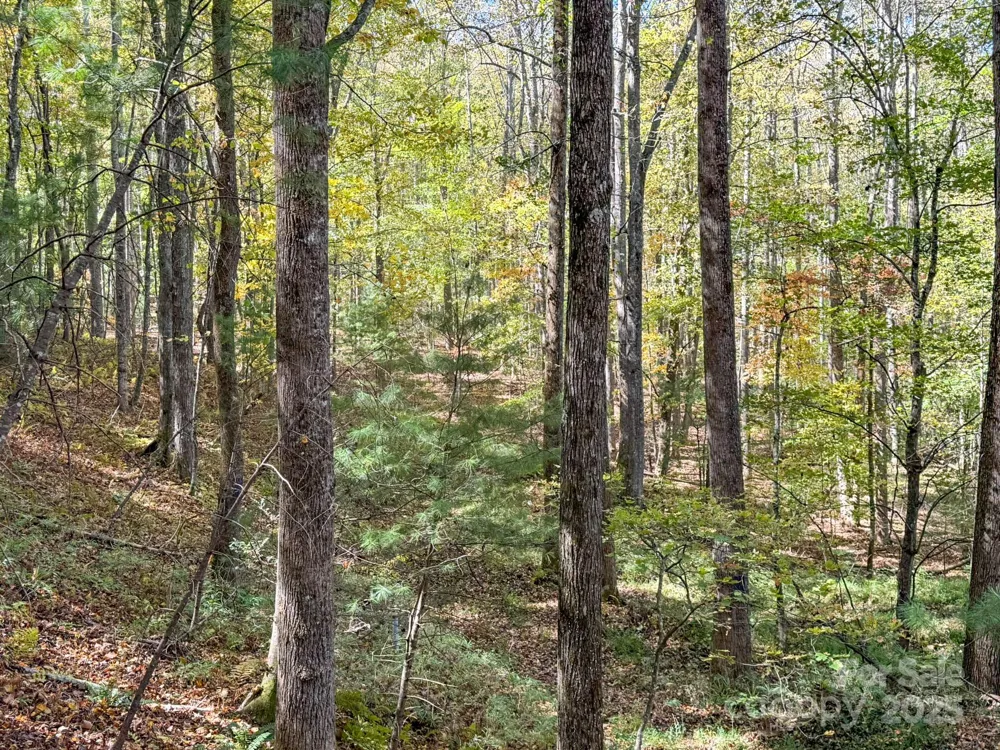345 Christa Lane Arden, NC 28704