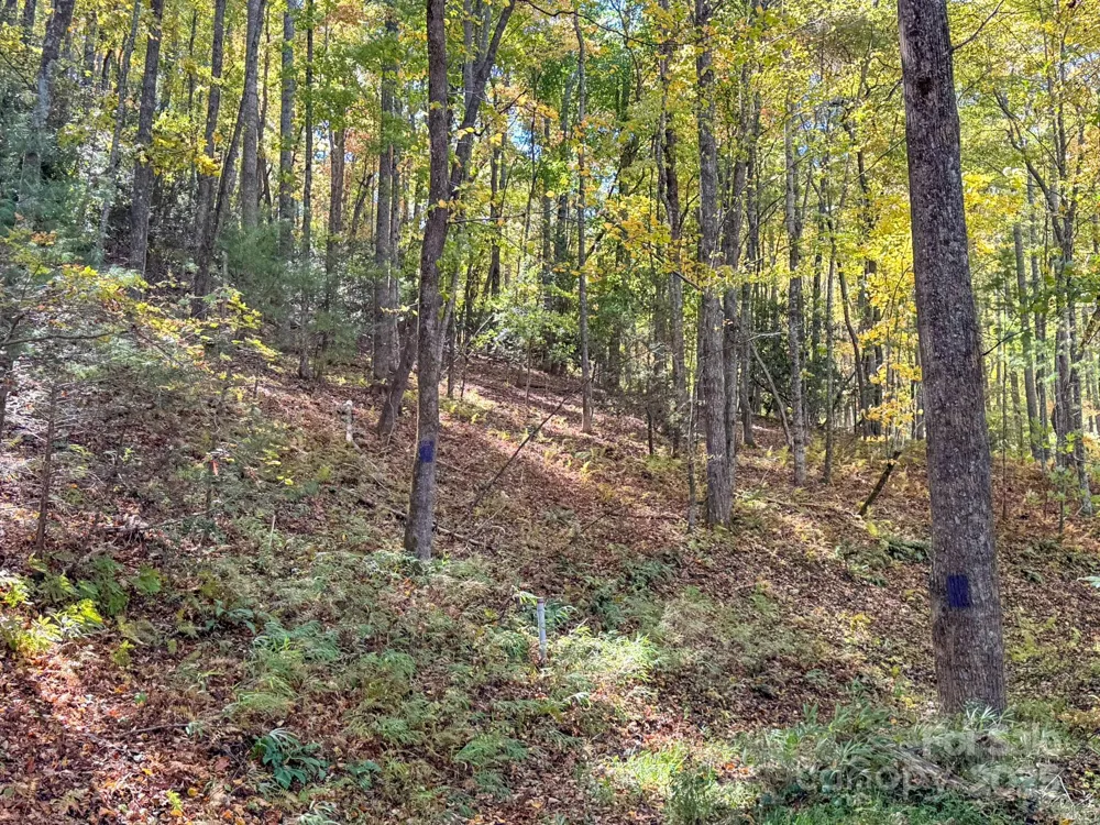 345 Christa Lane Arden, NC 28704