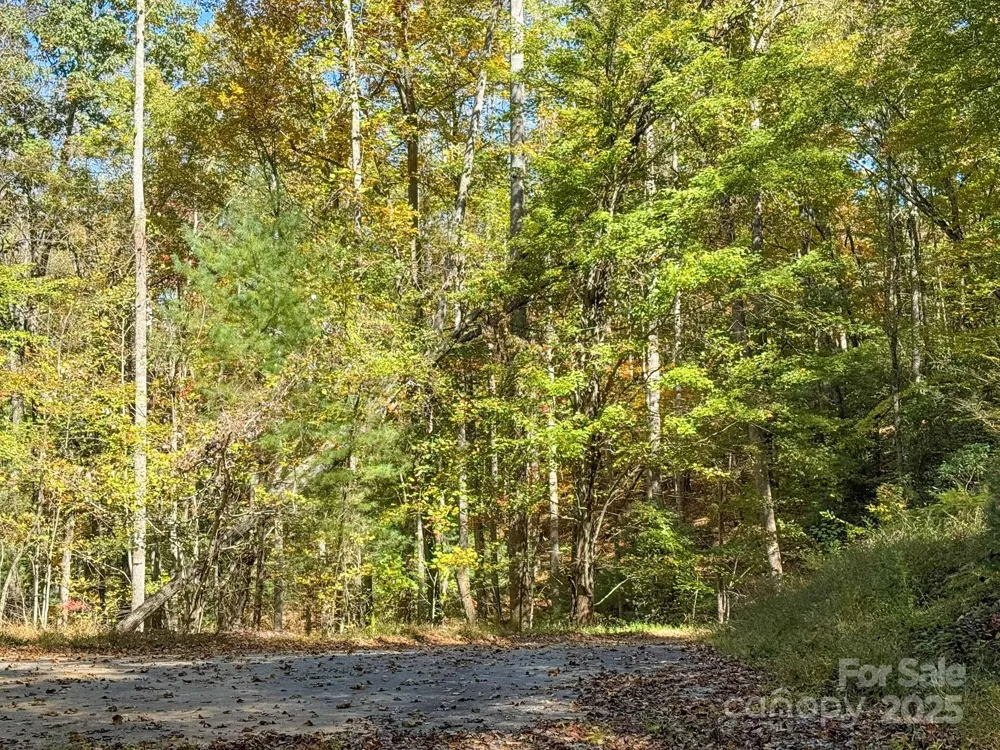 345 Christa Lane Arden, NC 28704