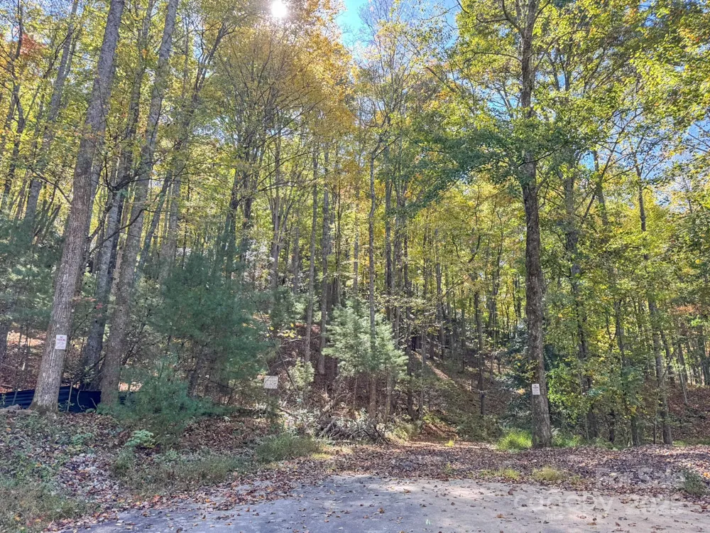 345 Christa Lane Arden, NC 28704