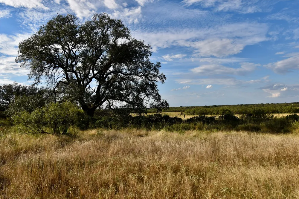 11595 W Fm 2028 Melvin, TX 76858