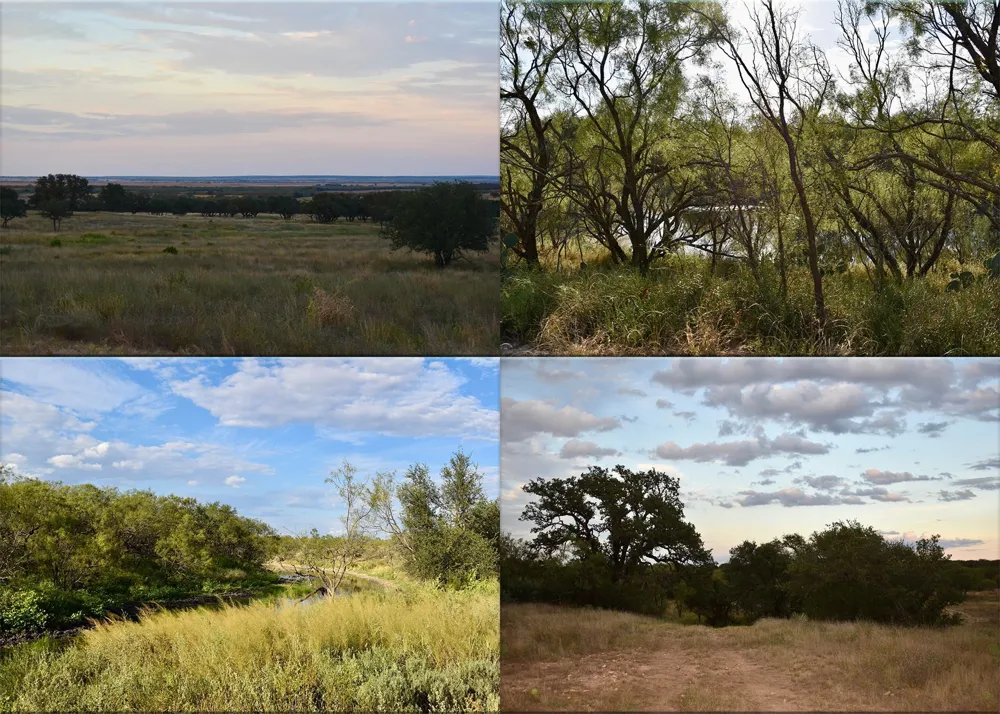 11595 W Fm 2028 Melvin, TX 76858