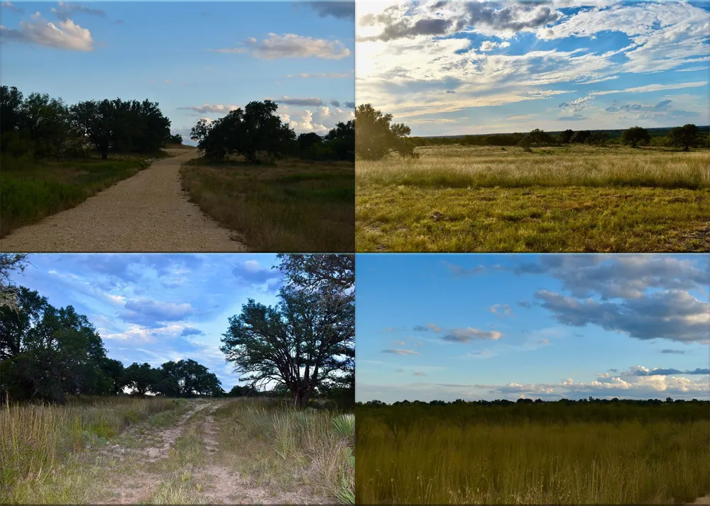 11595 W Fm 2028 Melvin, TX 76858