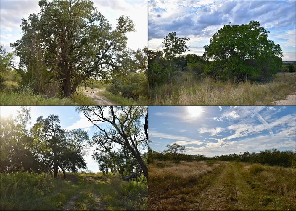 11595 W Fm 2028 Melvin, TX 76858