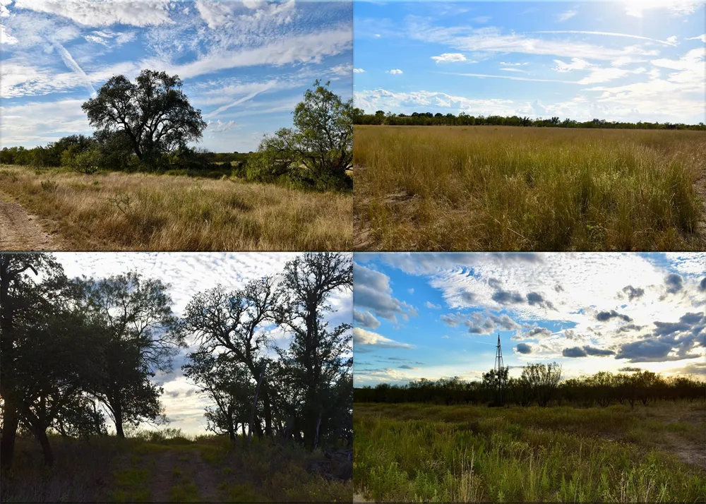 11595 W Fm 2028 Melvin, TX 76858