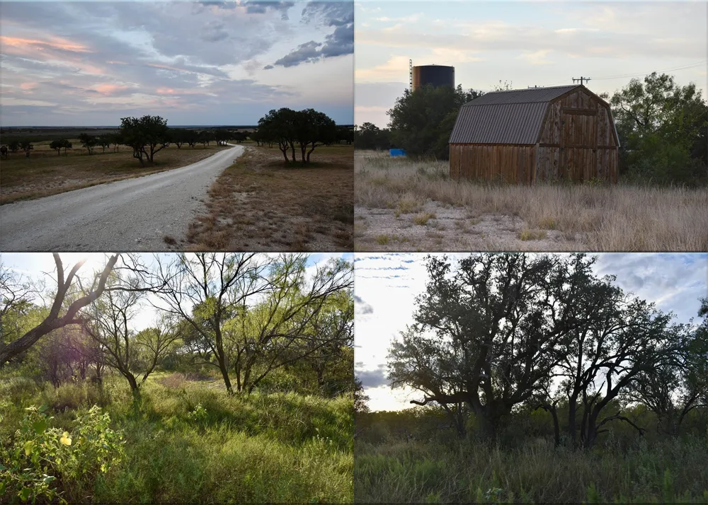 11595 W Fm 2028 Melvin, TX 76858