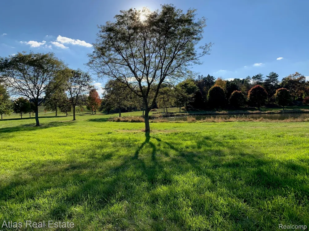 10020 Strawberry Trail Atlas Township, MI 48438
