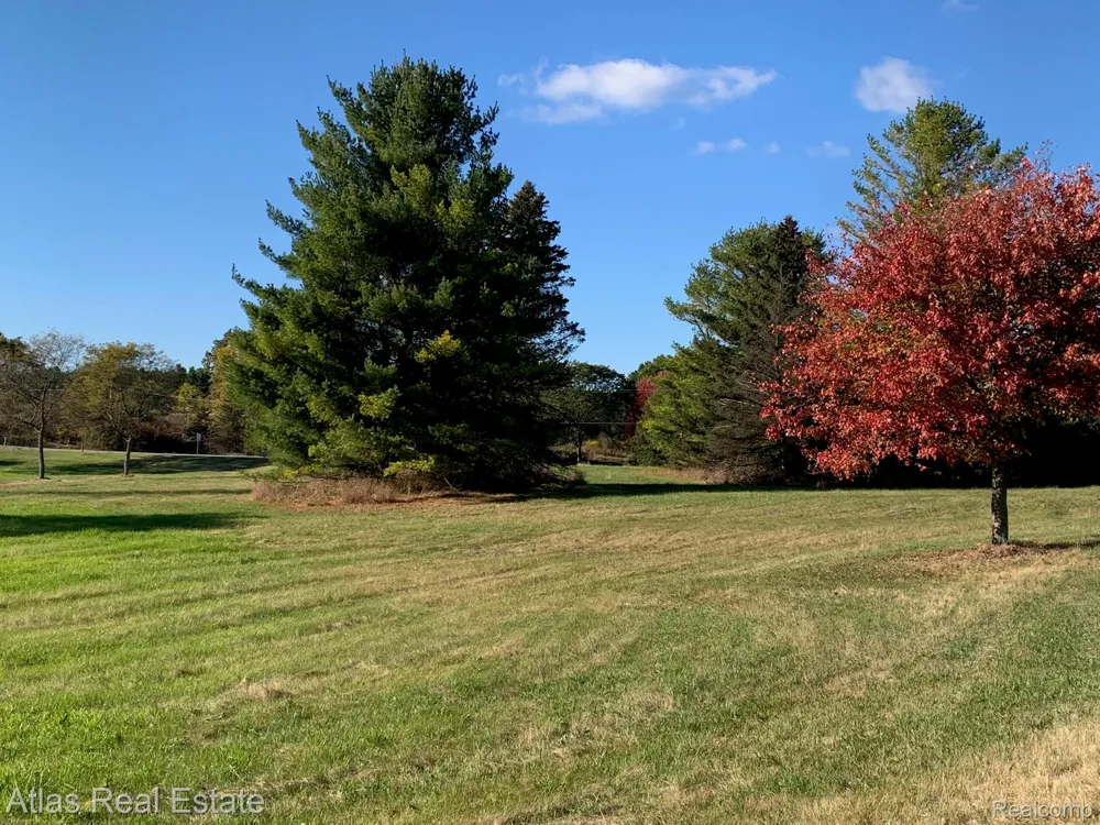 10020 Strawberry Trail Atlas Township, MI 48438
