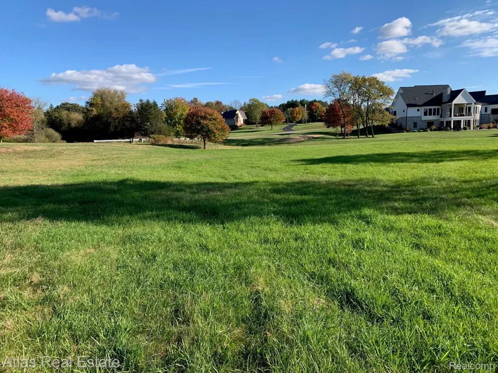 10020 Strawberry Trail Atlas Township, MI 48438