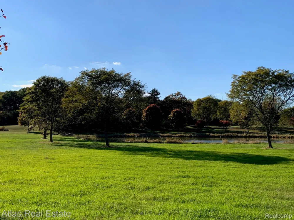 10020 Strawberry Trail Atlas Township, MI 48438