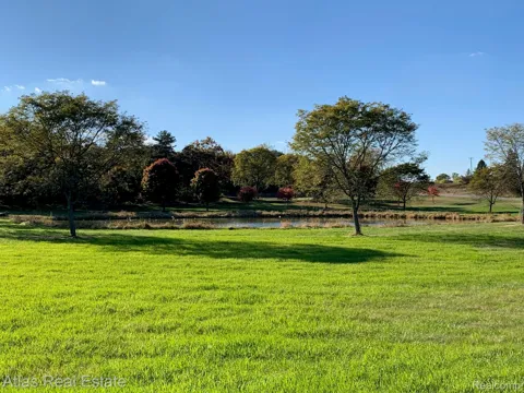 10020 Strawberry Trail
