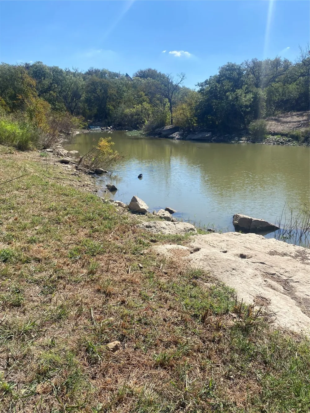6996 Shamrock Drive Brownwood, TX 76801