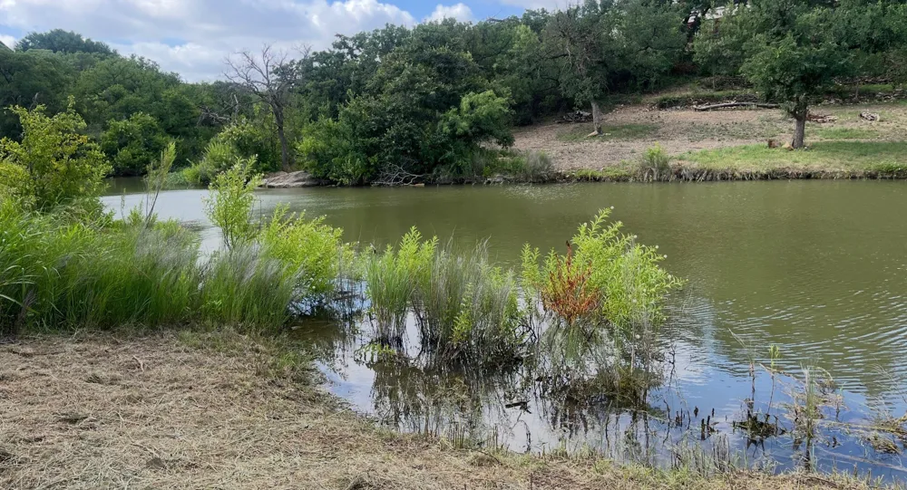 6996 Shamrock Drive Brownwood, TX 76801