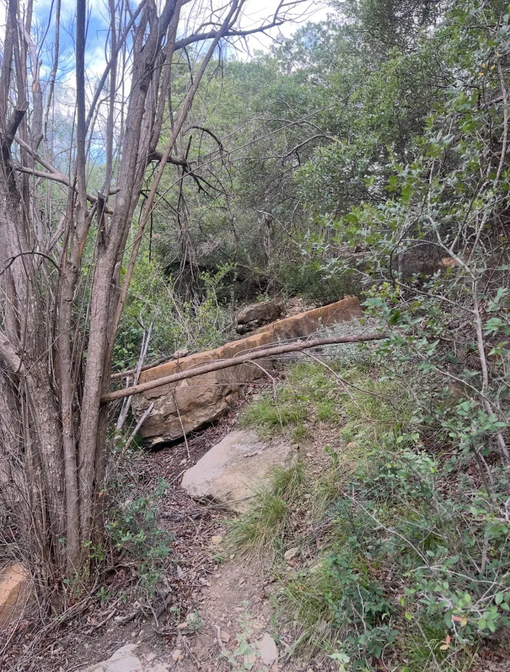 6996 Shamrock Drive Brownwood, TX 76801