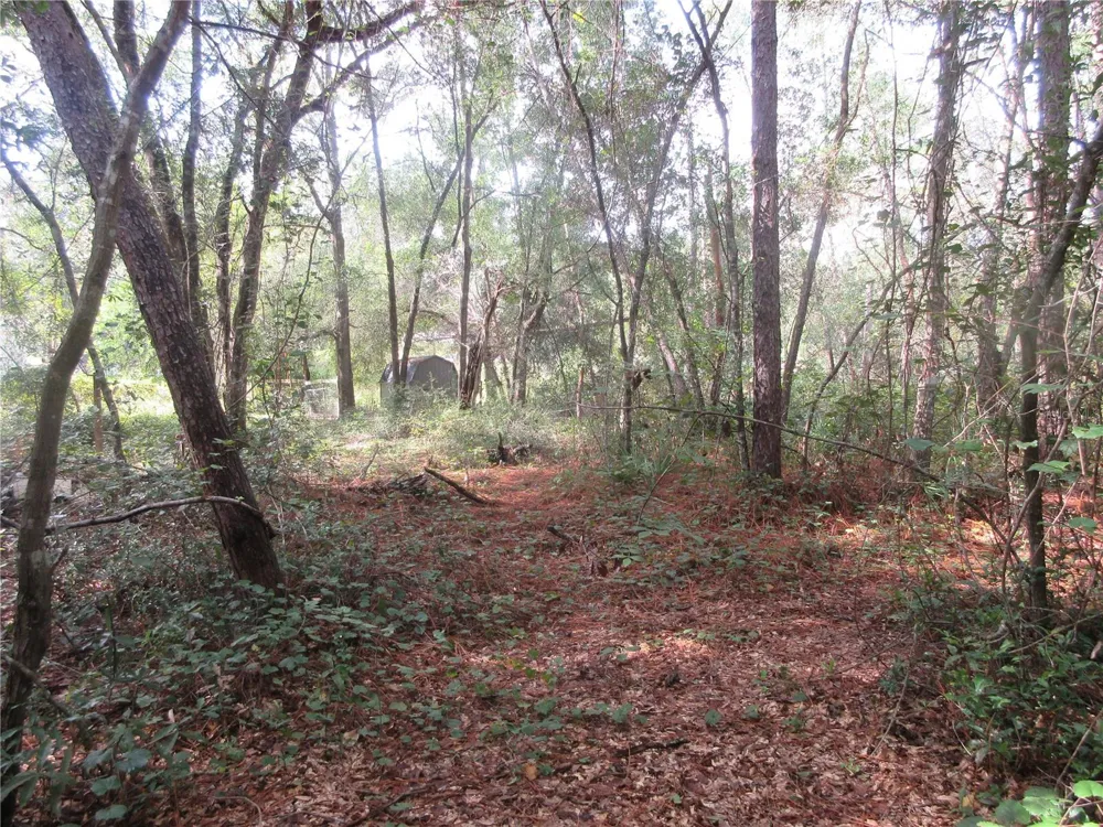 NE 171ST COURT Silver Springs, FL 34488