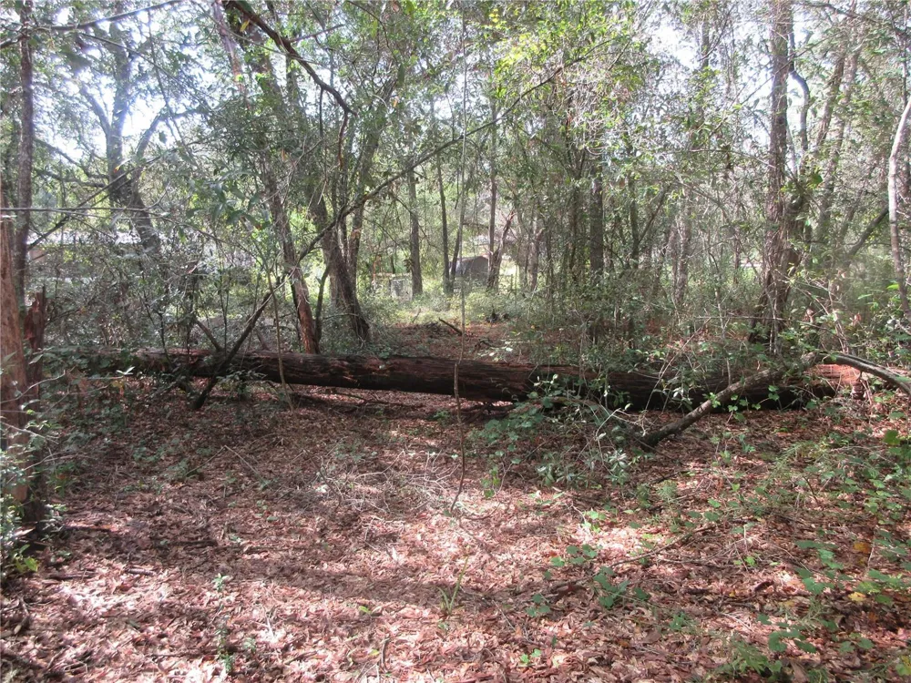NE 171ST COURT Silver Springs, FL 34488