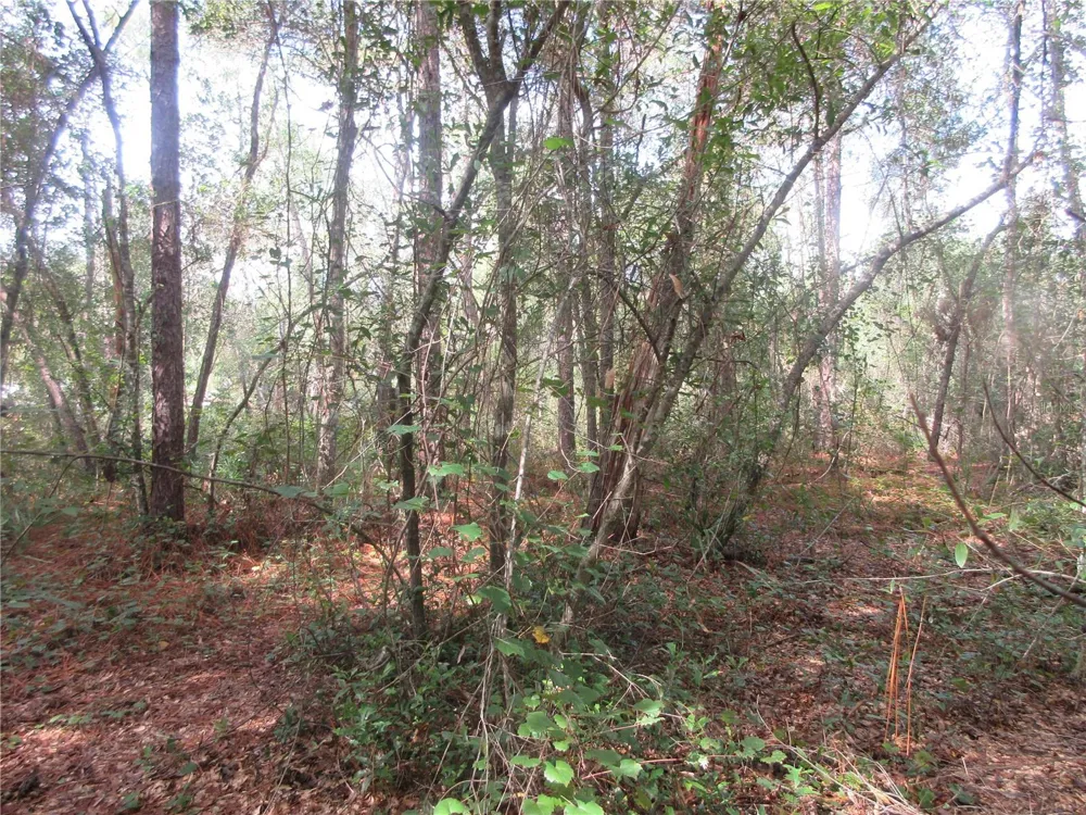NE 171ST COURT Silver Springs, FL 34488