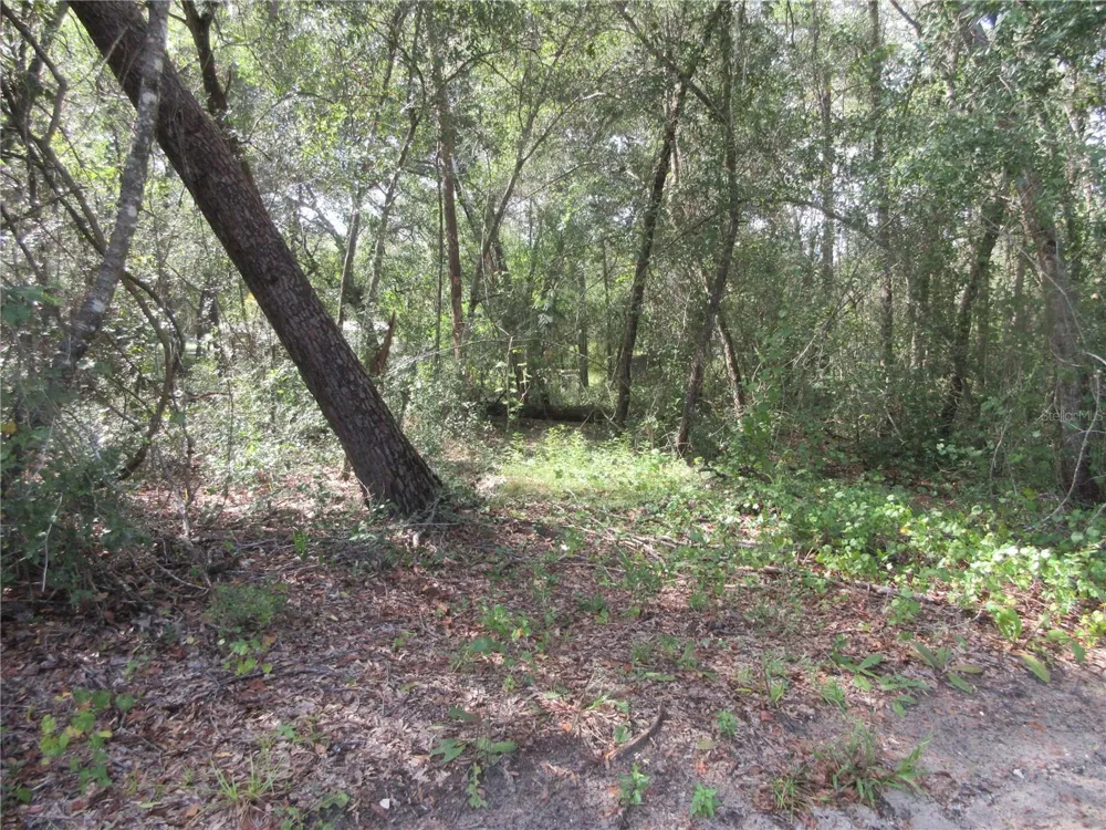 NE 171ST COURT Silver Springs, FL 34488