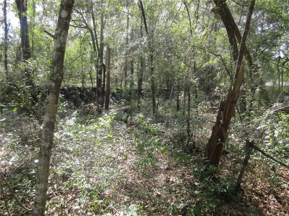 NE 171ST COURT Silver Springs, FL 34488