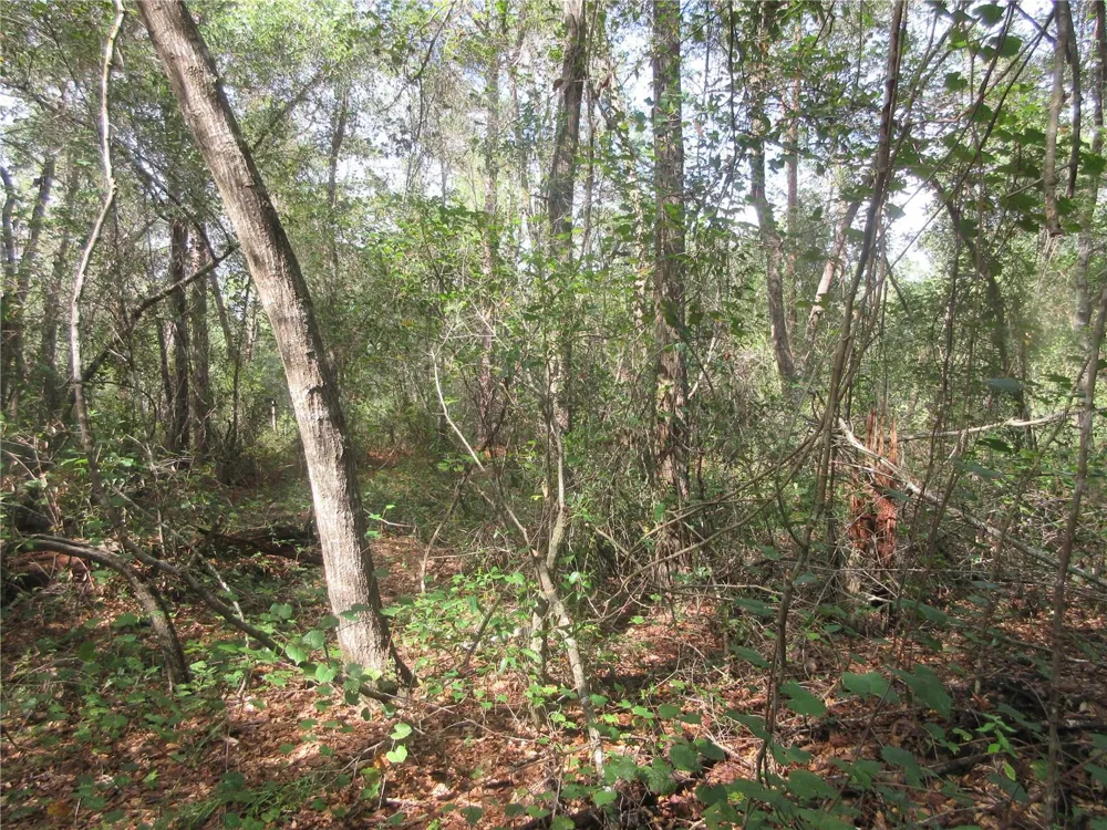 NE 171ST COURT Silver Springs, FL 34488