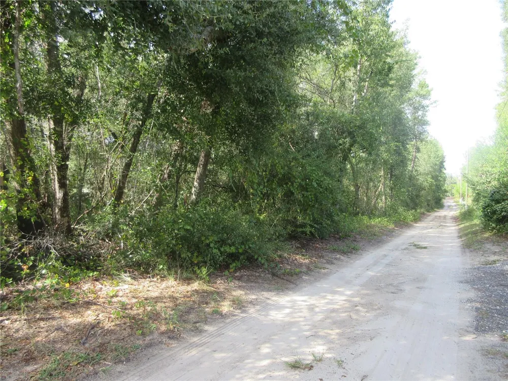 NE 171ST COURT Silver Springs, FL 34488