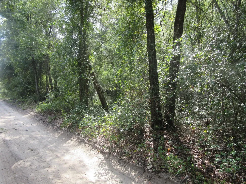 NE 171ST COURT Silver Springs, FL 34488