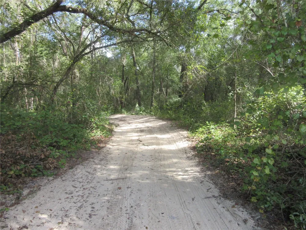 NE 171ST COURT Silver Springs, FL 34488