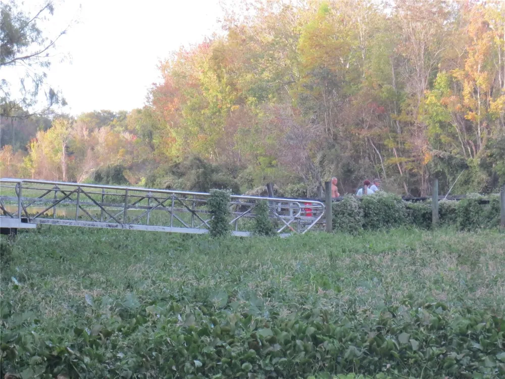 NE 171ST COURT Silver Springs, FL 34488