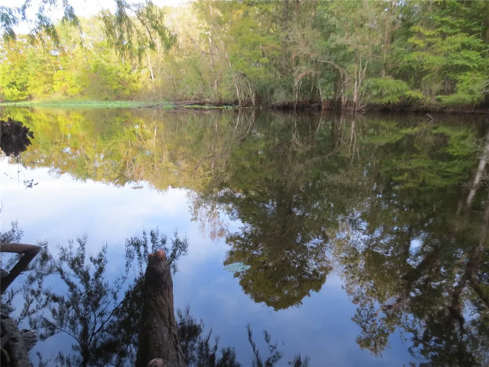 NE 171ST COURT Silver Springs, FL 34488