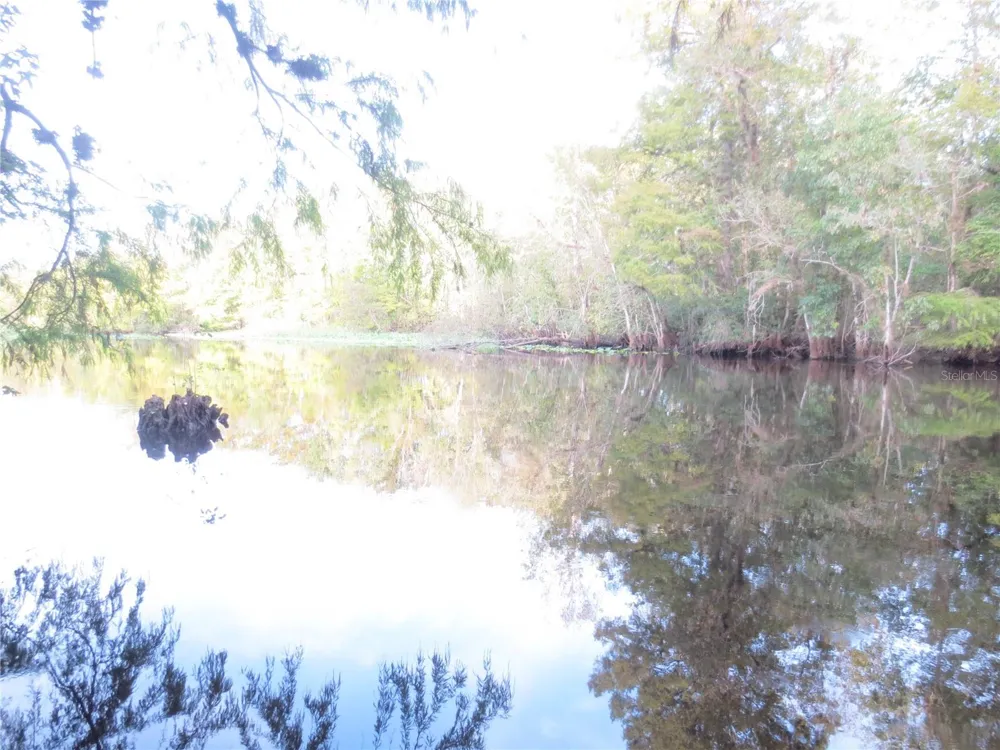 NE 171ST COURT Silver Springs, FL 34488