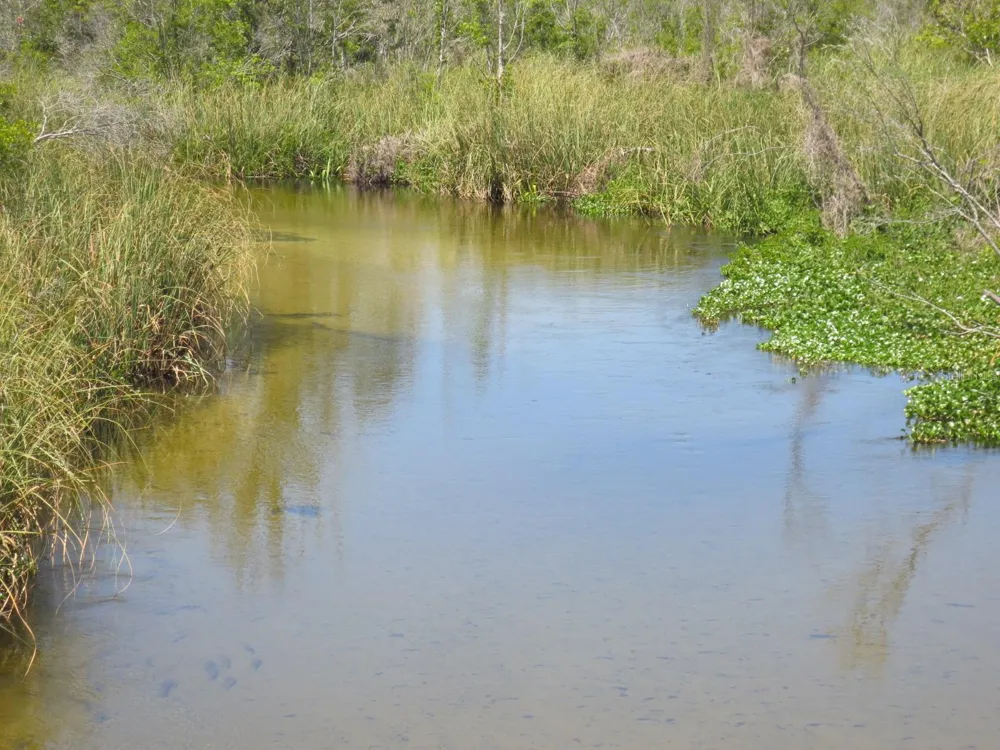NE 171ST COURT Silver Springs, FL 34488
