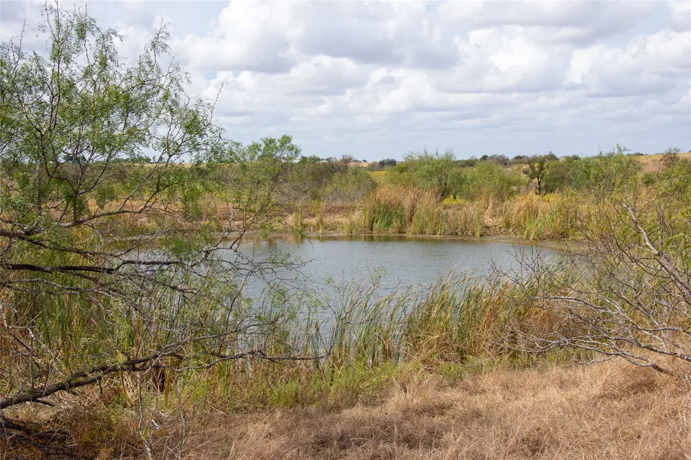 2689 County Road 419 Road Taylor, TX 76574
