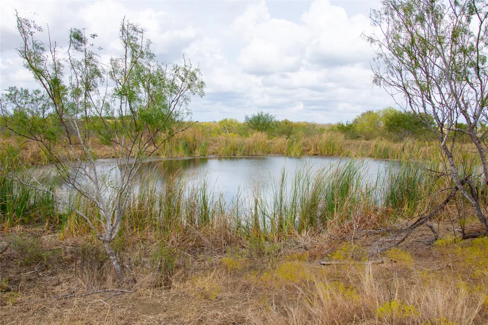 2689 County Road 419 Road Taylor, TX 76574