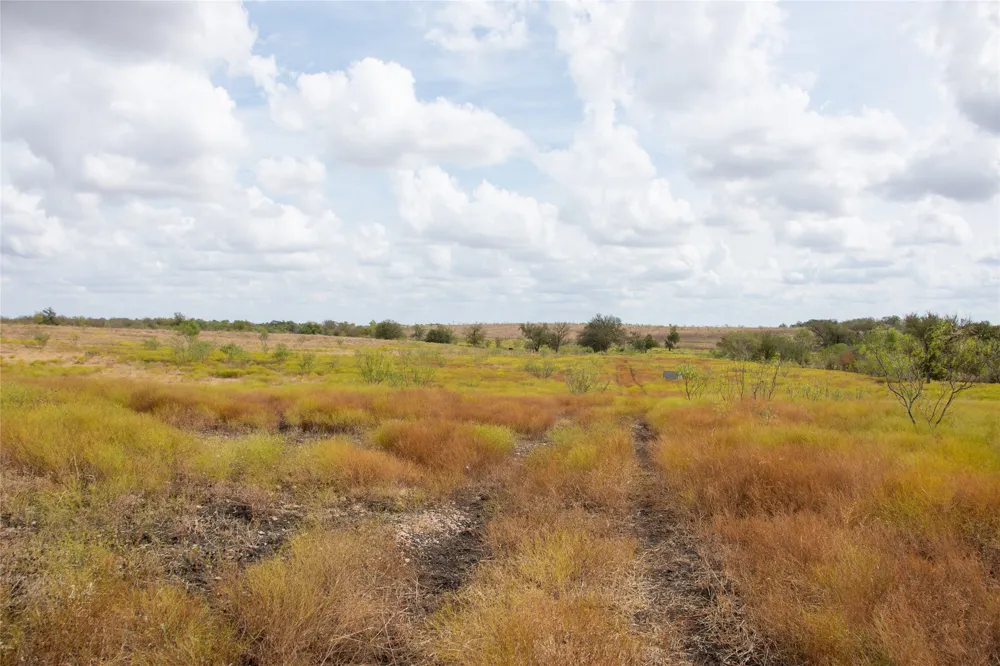 2689 County Road 419 Road Taylor, TX 76574