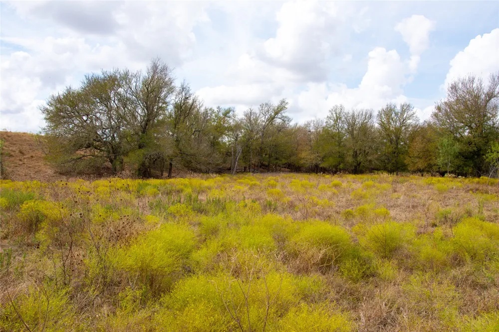 2689 County Road 419 Road Taylor, TX 76574
