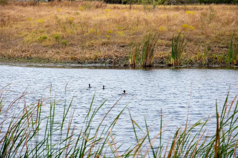 2689 County Road 419 Road Taylor, TX 76574