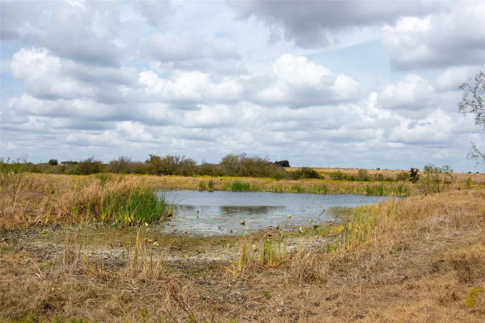 2689 County Road 419 Road Taylor, TX 76574