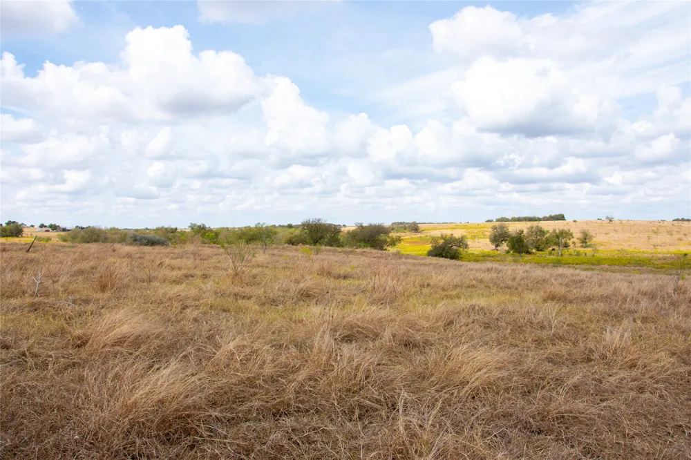 2689 County Road 419 Road Taylor, TX 76574