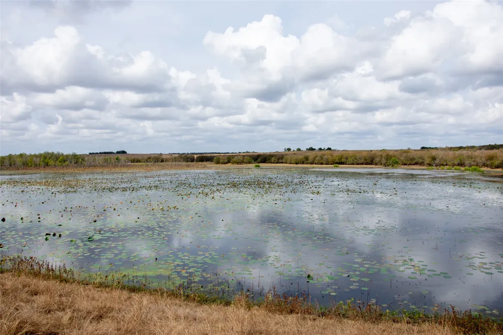 2689 County Road 419 Road Taylor, TX 76574